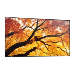 Sharp M982, 98" M-Series LFD, UHD - 98" professionel display